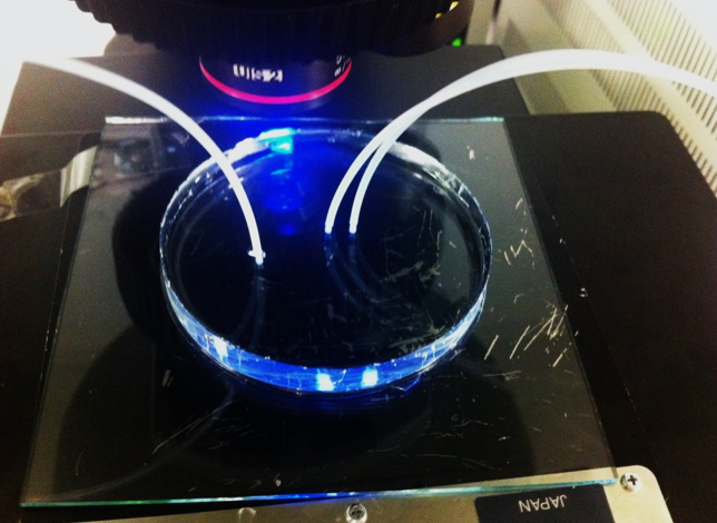 ABD'de yaşayan Türk bilim insanı, kanseri kanda teşhis eden cihaz geliştirdi